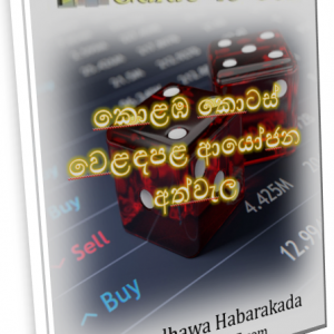 guide-to-investing-in-cse-madhawa-habarakada